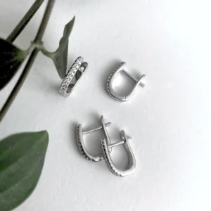 Gerhodineerd zilveren oorringen zirkonia klapsluiting - sfeerfoto met blad